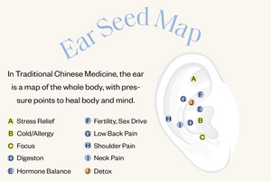 Plant The Seed | Ear Seed Kit