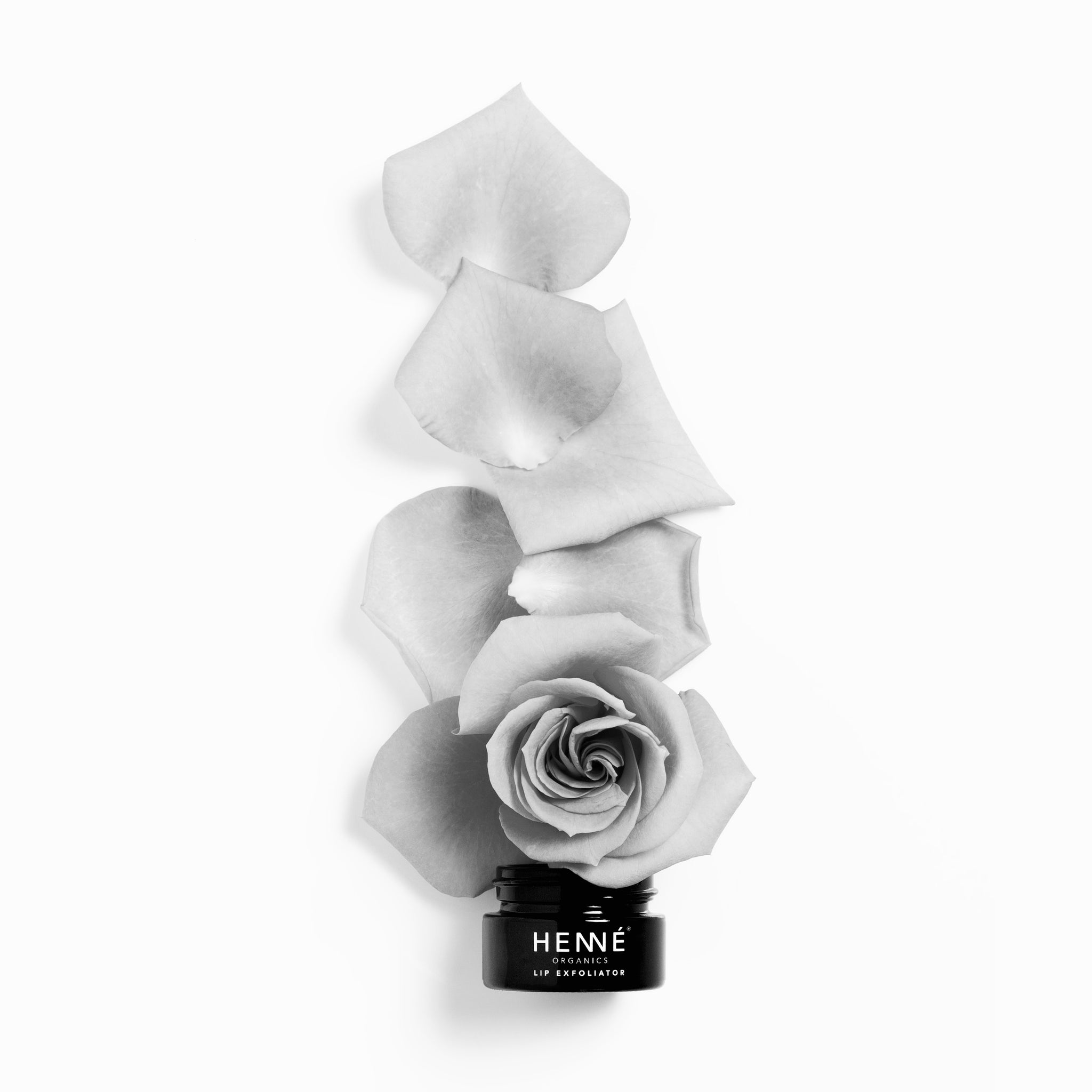 Rose Diamonds | Lip Exfoliator